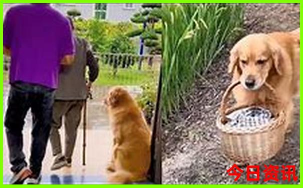 去黑龙江旅游必去的景点
